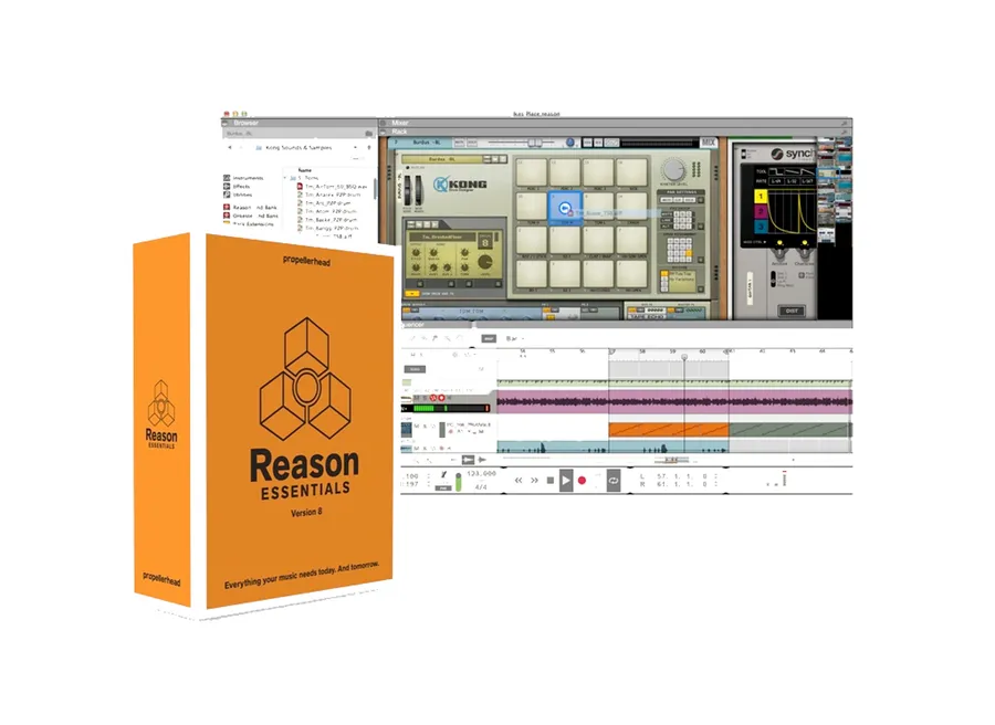 Manual Reason essentials 6